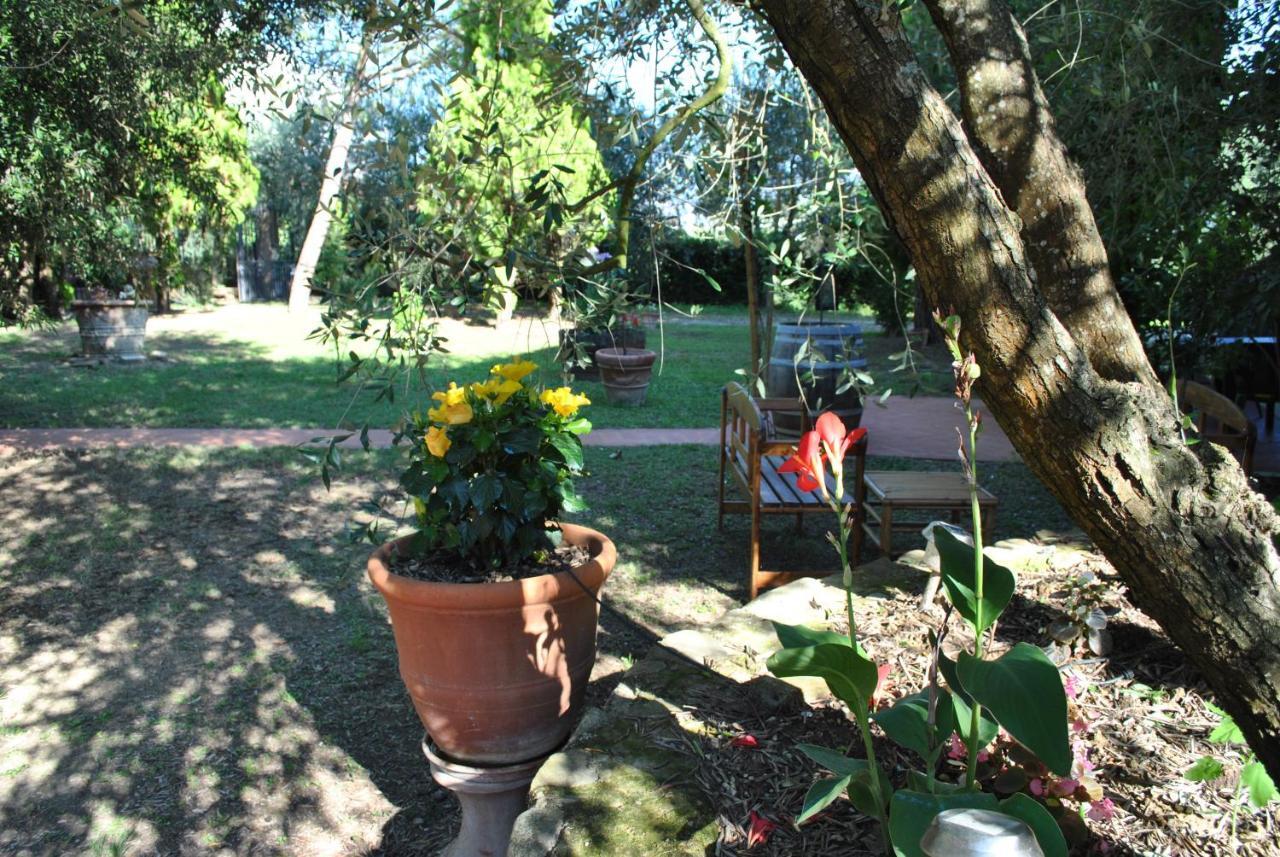 Agriturismo La Nicchia Кастельнуово-Берарденга Экстерьер фото