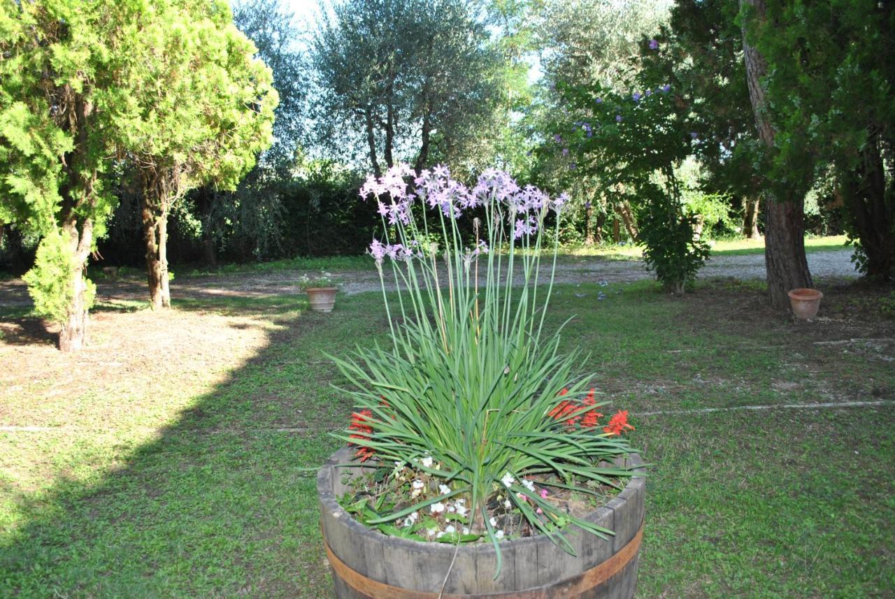 Agriturismo La Nicchia Кастельнуово-Берарденга Экстерьер фото