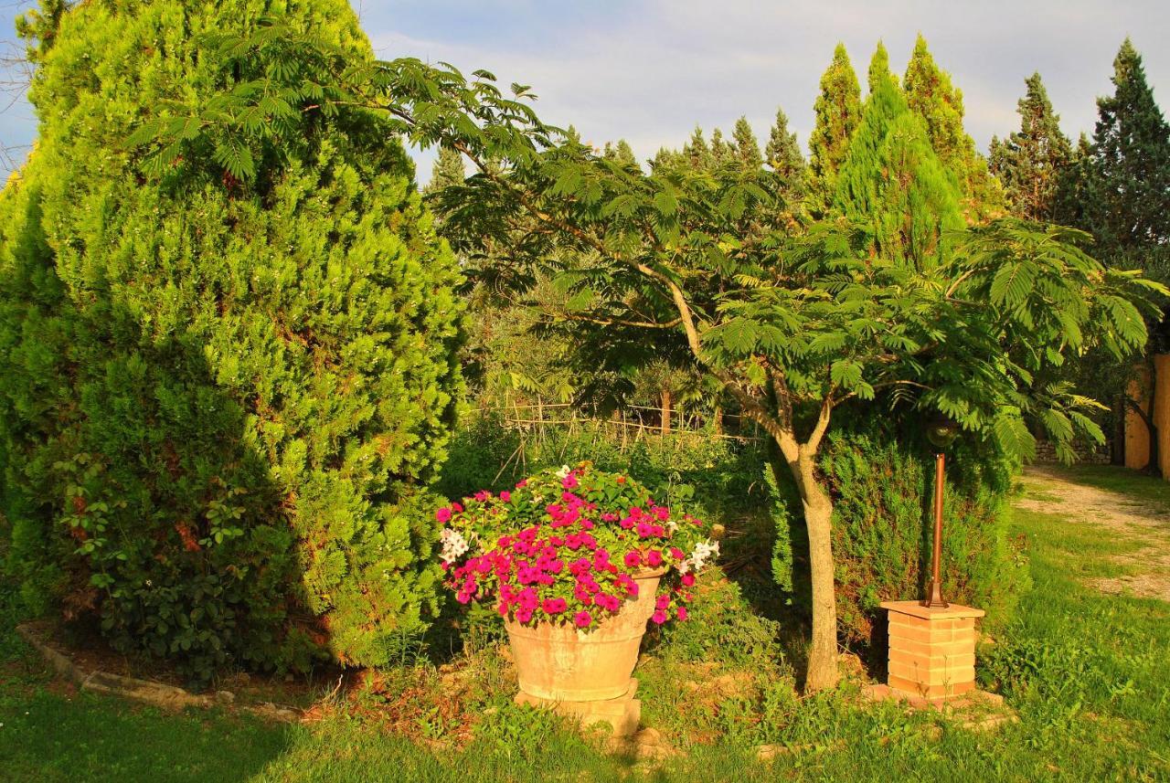 Agriturismo La Nicchia Кастельнуово-Берарденга Экстерьер фото
